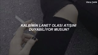 Halsey - Heaven In Hiding (Türkçe Çeviri)