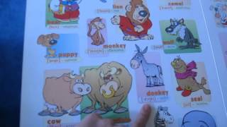 Учим животных на английском. Learn animals in English.