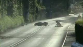 Bike crash Isle of Man TT races