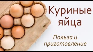 Сырые и вареные куриные яйца.  Польза куриных яиц.