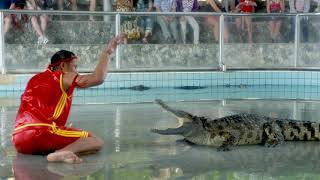 19 02 06 Million Years Stone Crocodile Farm
