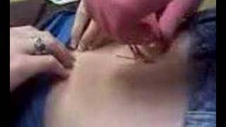 belly button