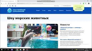 Разбор сайта Дельфинария - отдых и развлечения - увеличение конверсии