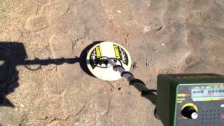 Tesoro compadre & Garrett ace 300 beach test