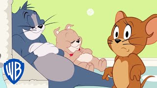 Tom & Jerry in italiano | Tyke dimentica di essere un cane 
