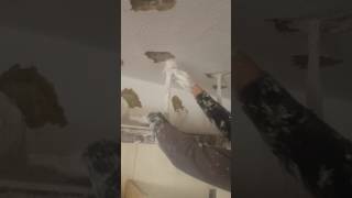 Poser les plaques de plâtre au plafond façon marocaine