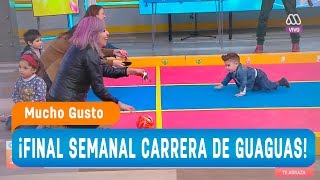 ¡Final semanal carrera de guaguas! - Mucho gusto 2018