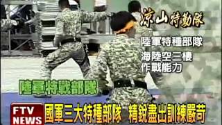 特種跨國救人? 嚴明：不輕易介入－民視新聞