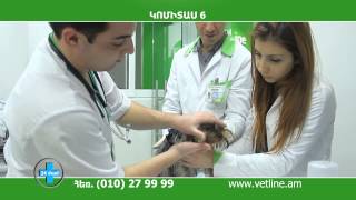 Vet Line