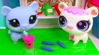 LPS Back To School Shopping Littlest Pet Shop Playing Video Bears
