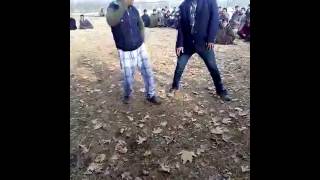 Seeloo sopore