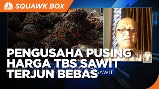 Pengusaha Kesulitan Ekspor CPO, Harga TBS Sawit Terjun Bebas