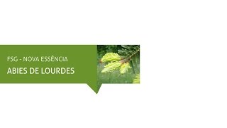 LANÇAMENTO 2016: ABIES DE LOURDES (Florais de Saint Germain)
