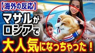 【海外の反応】衝撃！マサルがロシアで大人気になっちゃった！ザギトワ選手を護衛する成長したマサルの姿をご覧ください！ザギトワ＆マサル！!【日本人も知らない真のニッポン】