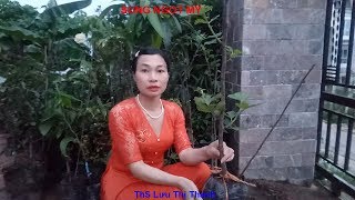 SUNG NGỌT MỸ GIỐNG CÂY TRỒNG MỚI LẠ DỄ TRỒNG- Sweet Fig trees 0354305839