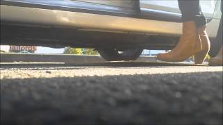 2 snails under board