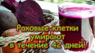 РАКОВЫЕ КЛЕТКИ УМИРАЮТ В ТЕЧЕНИЕ 42 ДНЕЙ!