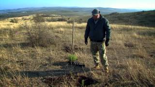 Climate Tolerant Rehabilitation of Degraded Landscapes in Georgia