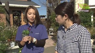 素敵にフラワーライフ　「ガーデン雑貨」ガーデニング・庭づくり