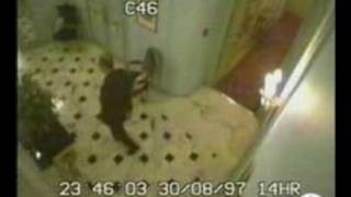 Diana - New CCTV