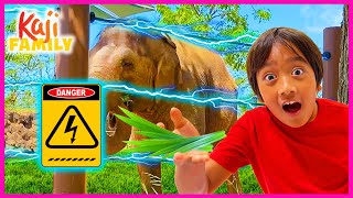 Ryan Sees Animals at the Zoo and Goes Hiking with Family!
