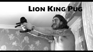 Lion King Pug