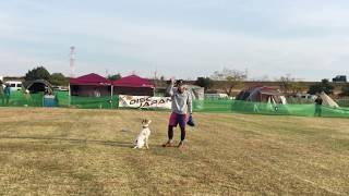 K9DJ 木曽三川 DD MASTERS 17/11/26