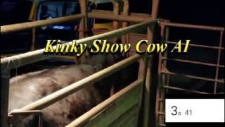 Kinky Show Cow AI