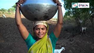 1 village, 4 hand-pumps, no water