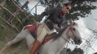 Another Abusive Female Horse Trainer Praised For Doing A Good Job - Ignorance In Horse World Grows