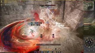 Дикий овергир под спотом аренки / Black Desert Ninja PVP