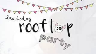 Louisdog Rooftop Party in 2018