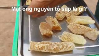 Mật ong nguyên tổ sáp là gì?