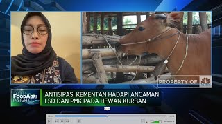 Hewan Kurban Bebas PMK & Penyakit Lato-lato, Vaksinasi Digencarkan!