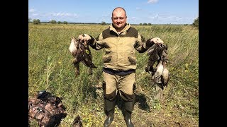 Охота на утку. Открытие осеннего сезона.