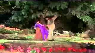 SALYAN.....GOZEL HIND MUSIQISI...