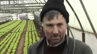 Legume pentru post Baleni Dambovita