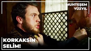 Selim ve Bayezid Birbirine Girdi! | Muhteşem Yüzyıl