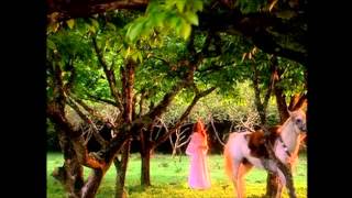 Vidas, Amores e Guerras - Marcus Viana