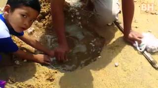 Kerang terdampar di pantai Sura berikutan fenomena air pasang besar