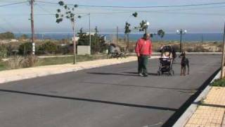 VOM PIERO LAND ( Η ΦΗΜΗ ΤΩΝ ΝΤΟΜΠΕΡΜΑΝ )