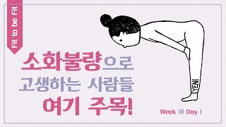 소화불량으로 고생하는 사람들 주목!