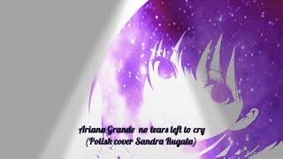 Ariana Grande  No tears left to cry (Polish cover Sandra Rugała)