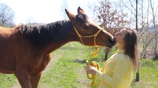 My Perfect Horse - Hakamada