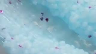 АСМР