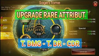 UPGRADE RARE ATTRIBUT T. DMG TDR & CDR || LEGACY OF DISCORD