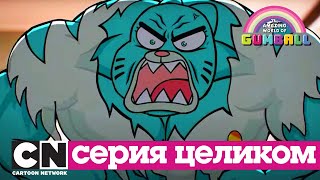 Гамбола | Треугольник + Деньги (серия целиком) | Cartoon Network