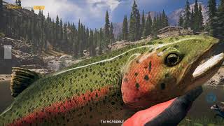 FarCry5 Горы Уайттейл Магазин Дилана Дом удочек Всё что нужно