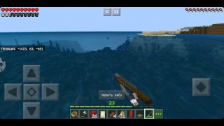 Играю в Minecraft Bedrock Edition 1.10.0 на своем сервере (смотри в описание?)