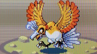 LIVE! EPIC FAIL! Shiny Ho-oh after 6,088 SRs!!!